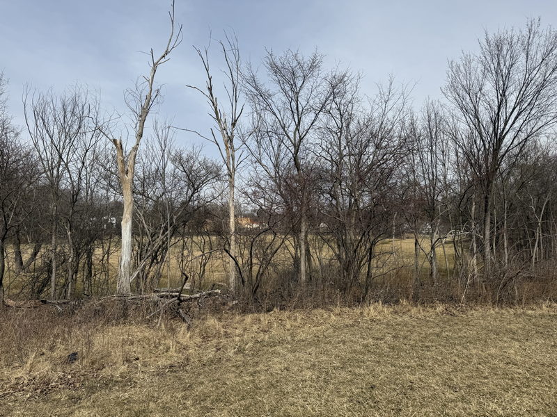 Pierce Municipal Park Golf Course - March 15 2025 Photo